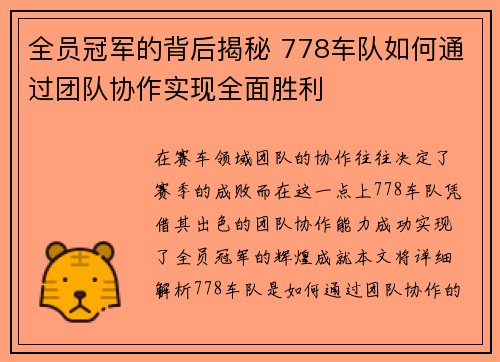 全员冠军的背后揭秘 778车队如何通过团队协作实现全面胜利