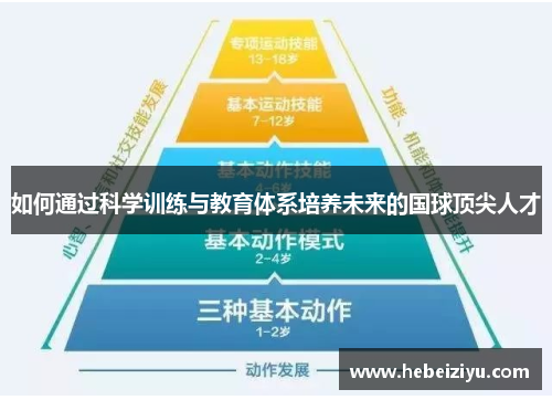 如何通过科学训练与教育体系培养未来的国球顶尖人才